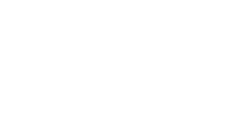 National Alliance on Mental Illness of New York City , Inc.